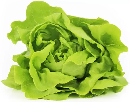 Sałata masłowa ekologiczna polska (0,18 kg) (EKO)